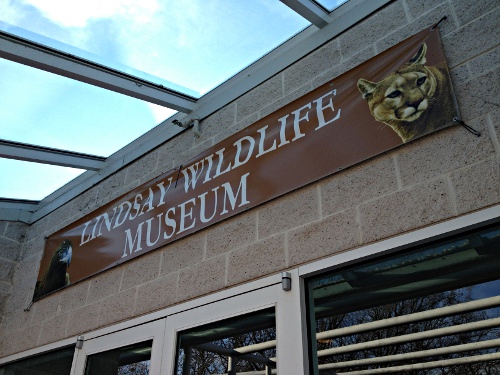 lindsay-wildlife-museum-walnut-creek-2