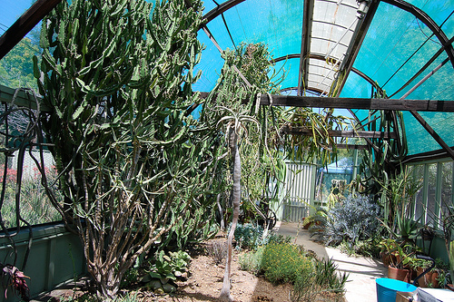 Vegetable Gardening The Lasagna Method At Ruth Bancroft Garden