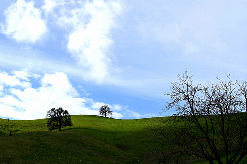 walnut-creek-sugarloaf-ridge