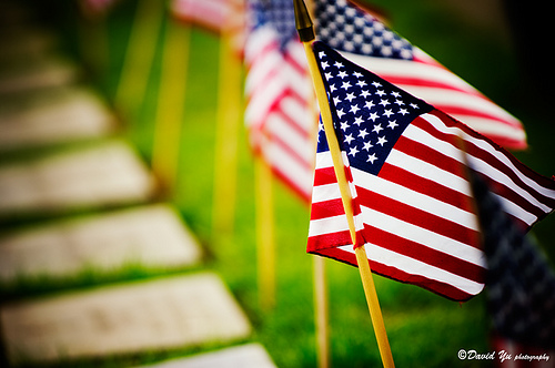 memorial-day-flags