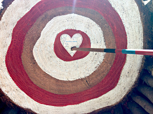 anthropologie-walnut-creek-heart-bullseye