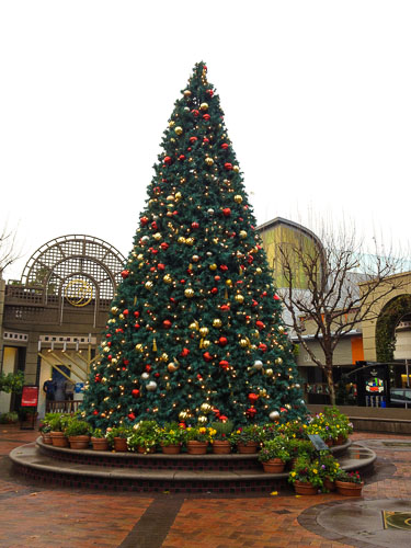 broadway-plaza-christmas-tree-2012-2