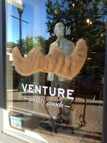 venture-lafayette-mustache