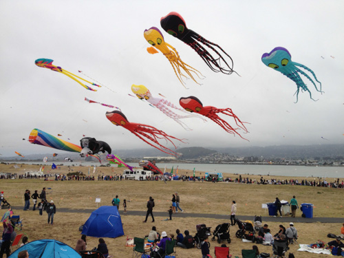 berkeley-kite-festival