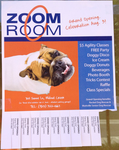 zoom-room-walnut-creek-flier