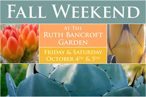 FallPlantSale-ruth-bancroft