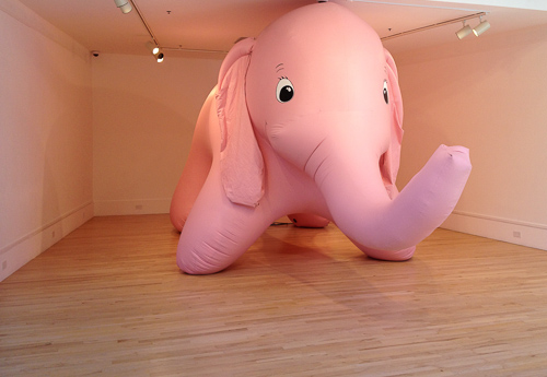 pink-elephant