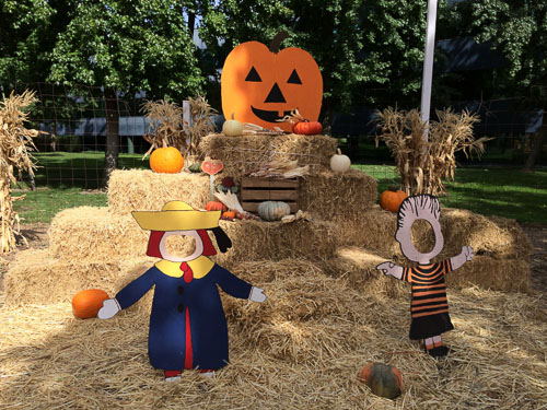 shadelands-ranch-pumpkin-patch-walnut-creek-outside