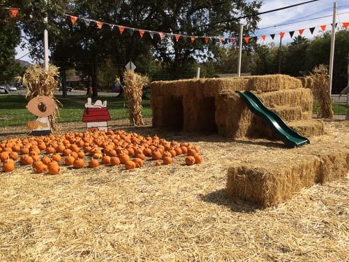 shadelands-ranch-pumpkin-patch-walnut-creek-slide