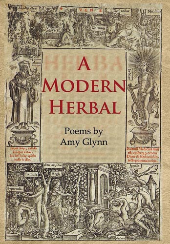 a-modern-herbal-amy-glynn