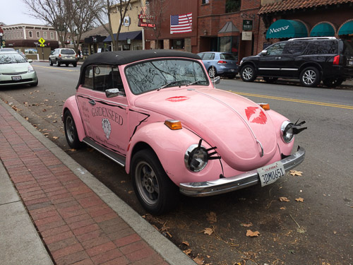 pink-vw-eyelashes-danville