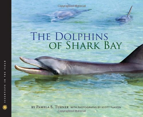 dolphins-shark-bay-pamela-turner-book
