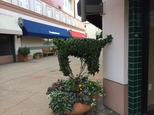 topiary-broadway-plaza