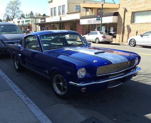 ford-car-walnut-creek