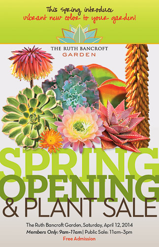 bancroft-SpringSalePostcard-2014