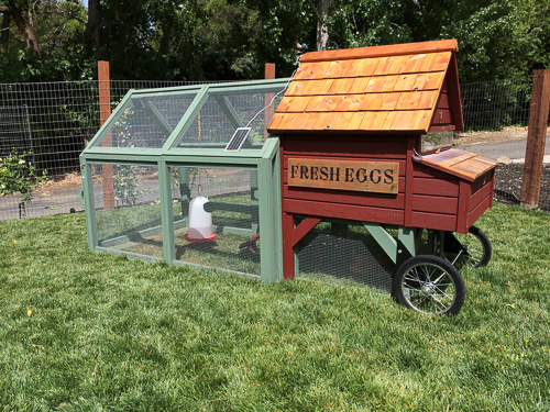 lafayette-kitchen-tour-h2-chicken-coop