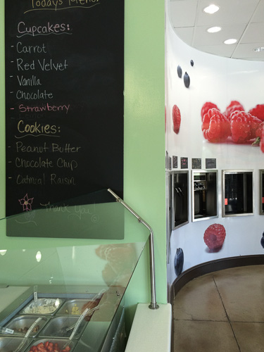 taylor-made-cakes-yogurt-walnut-creek-inside-yogurt