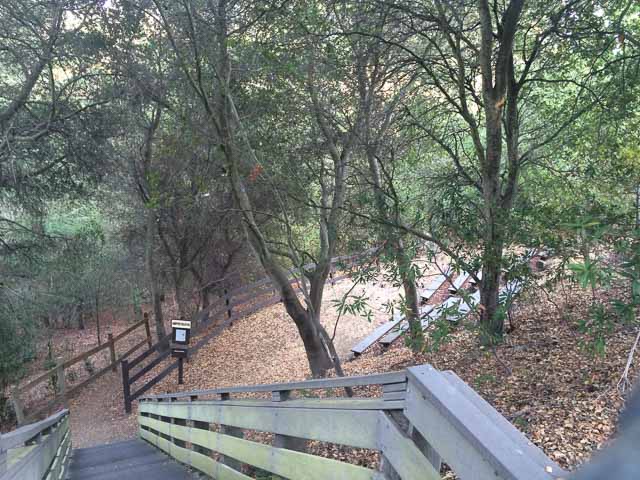 cindy-waxman-trail-amphitheatre-moraga-1