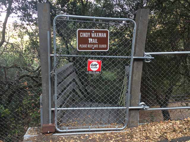 cindy-waxman-trail-moraga-1