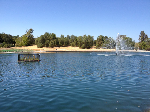 heather-farm-park-lake-walnut-creek