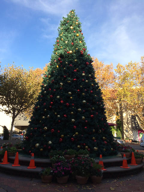 broadway-plaza-christmas-tree-2014