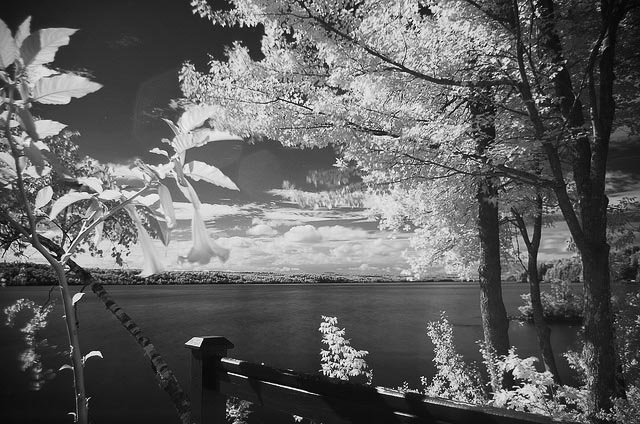 flickr-ennev-infrared