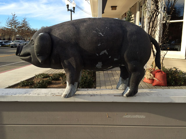 pig-danville