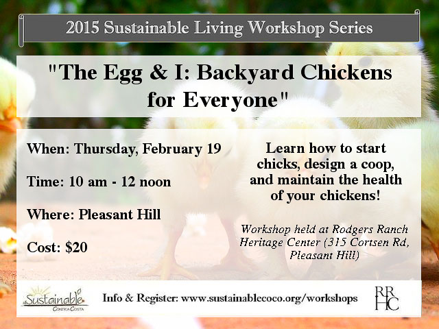 chickens-workshop-flyer-pleasant-hill