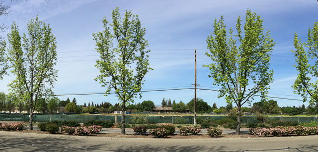 orchards-empty-walnut-creek