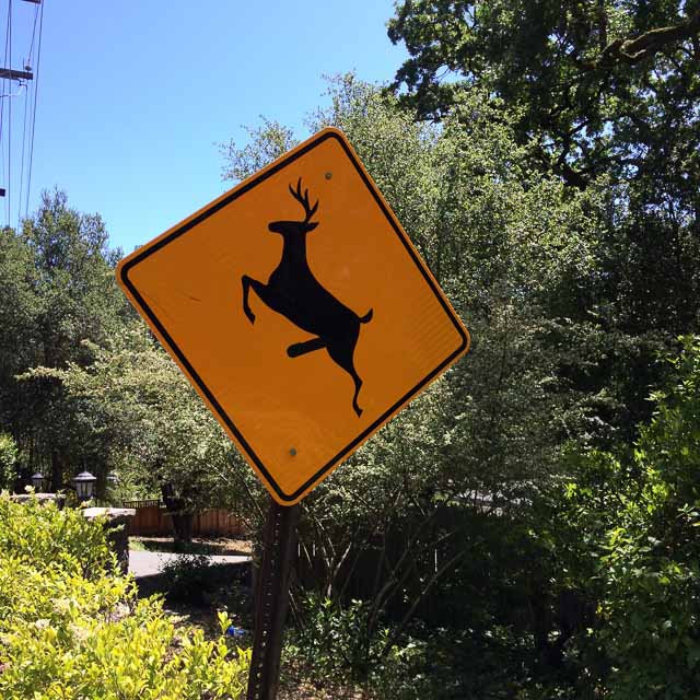 deer-sign-orinda