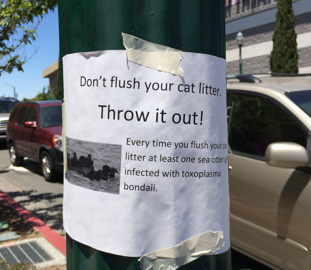 dont-flush-cat-litter-sign