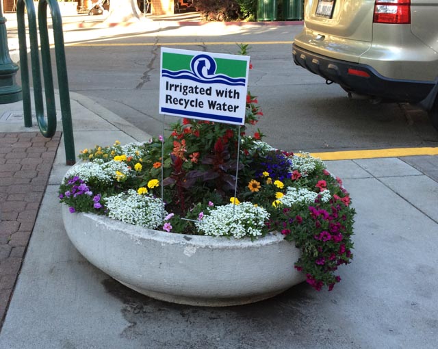 irrigated-with-recycle-water-walnut-creek-sign