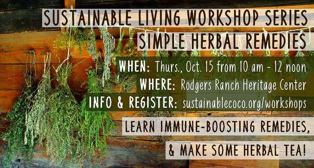 herbal-remedies-workshop-flyer-2015