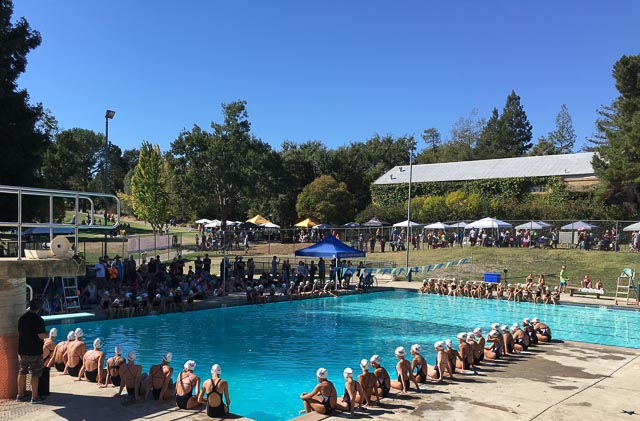 larkey-park-swim-center-walnut-creek-pool