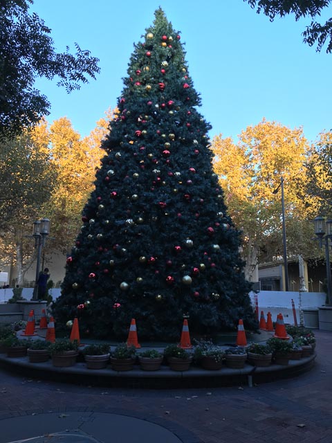 broadway-plaza-christmas-tree-2015