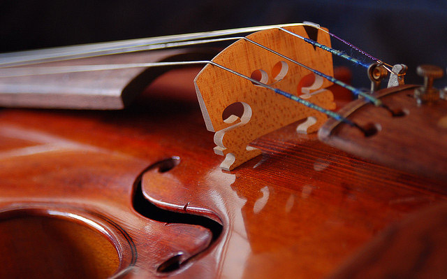 flickr-raymond-violin-closeup