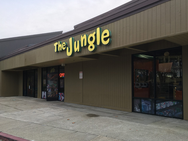 the-jungle-concord-outside