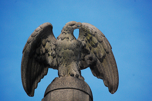 flickr-saucysalad-eagle