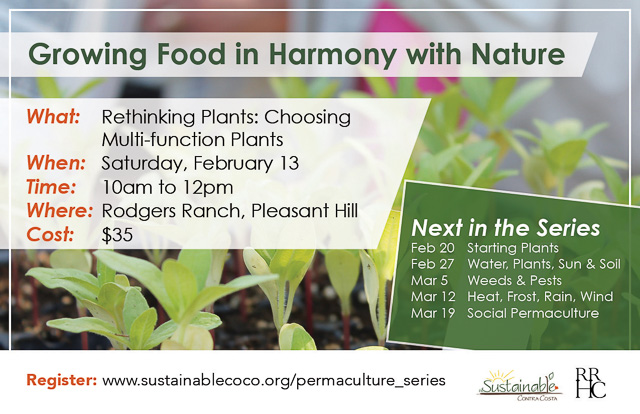 permaculture-growing-food-feb132016