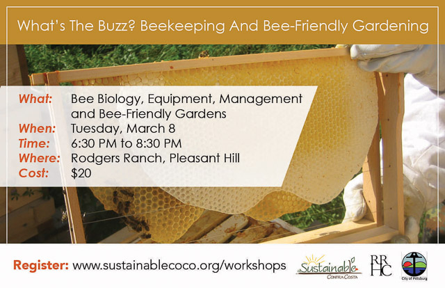 bees-workshop-pleasant-hill