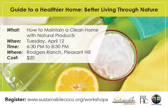 healthy-home-workshop-2016