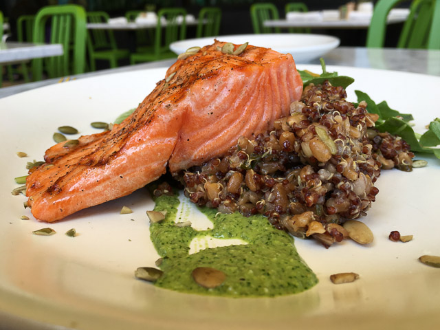 true-food-kitchen-broadway-plaza-salmon