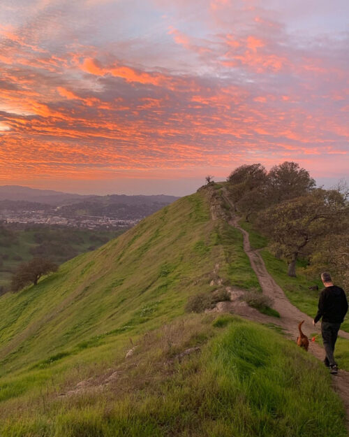 Photo of the Day Beyond the Creek