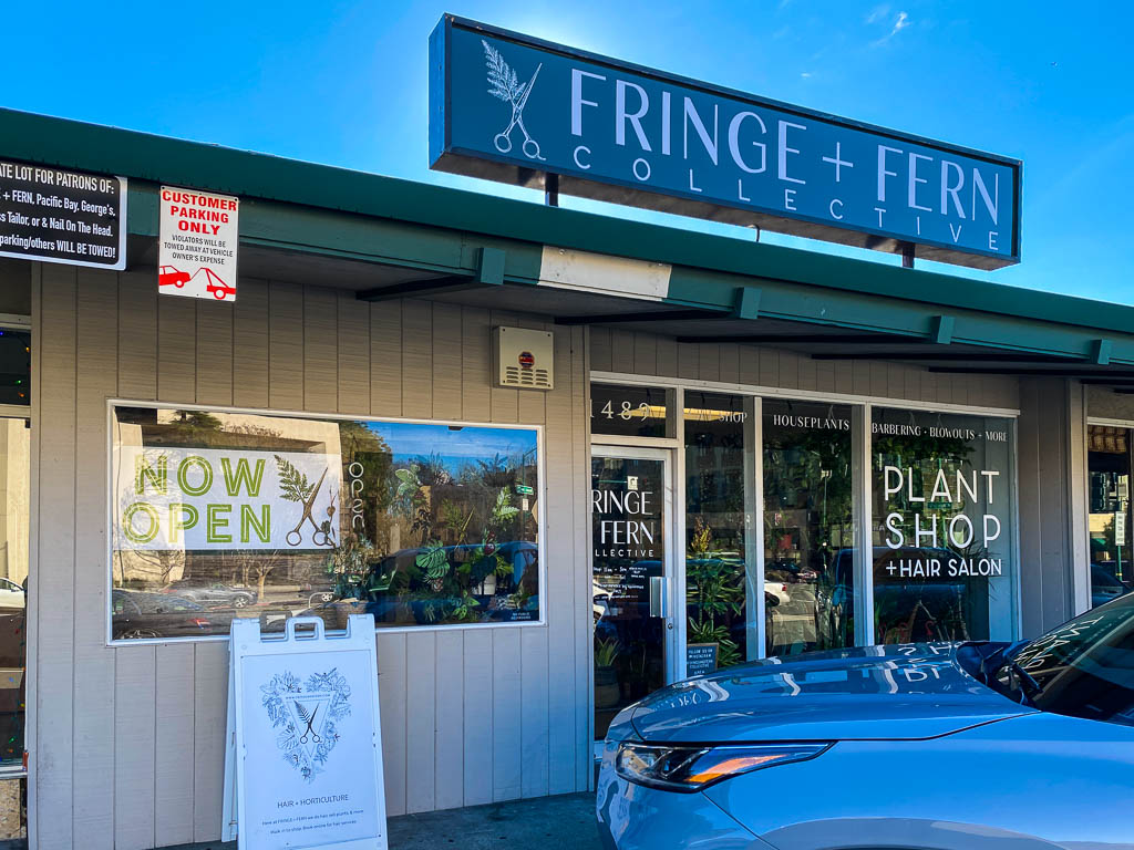 Fringe + Fern Salon & Plant Collective Opens in Walnut Creek – Beyond the  Creek