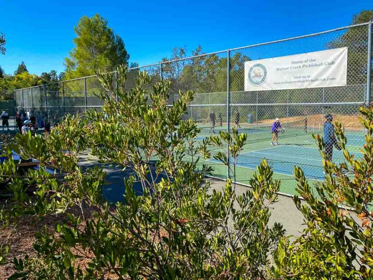 Beyond the Creek Walnut Creek Observations