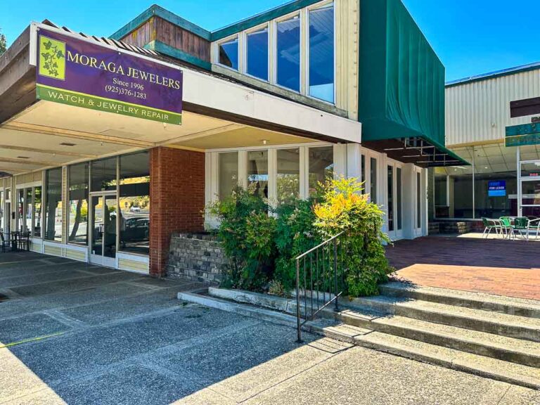 Beyond the Creek Page 3 Walnut Creek Observations